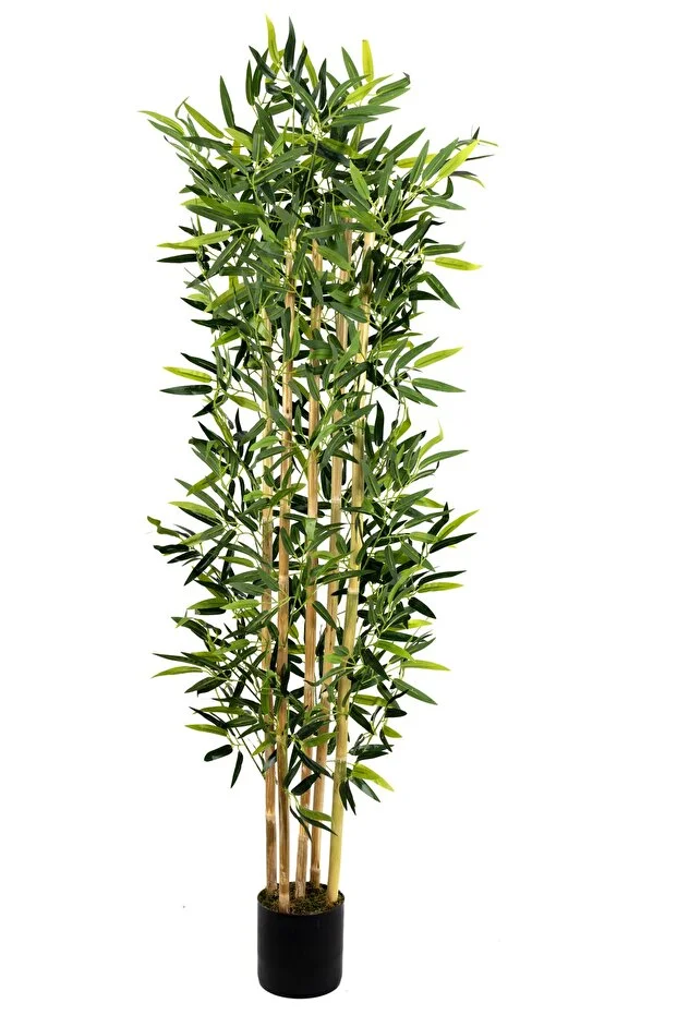 5 Gövdeli Yoğun Yapraklı 150 Cm Yapay Bambu Ağacı